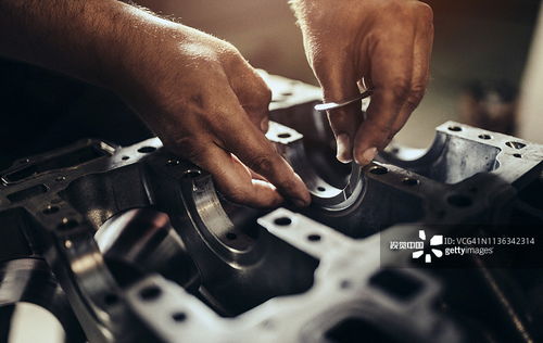 光影的藝術 專業(yè)攝影與攝像服務全解析